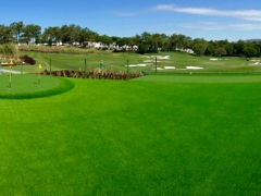 Photo 09-05-2016, 21 19 40